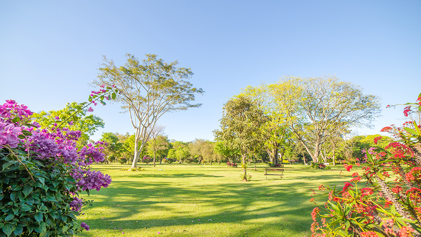 Parque Serenidad